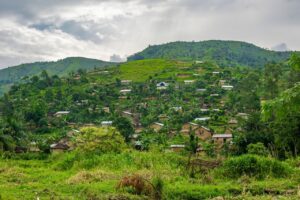 La Grande Métamorphose : Comment CODEVAH est passée d'une ONG locale à une Institution de Référence au Sud-Kivu